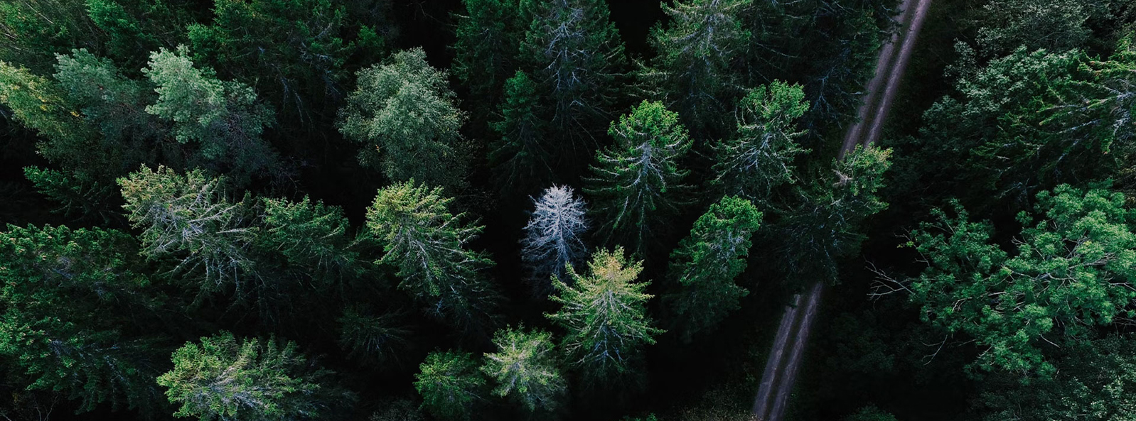 Jiangsu Xiangyi Textile Technology (Group) Co., Ltd.